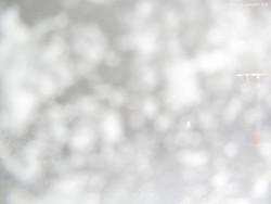 Svatý Petr, Pláně