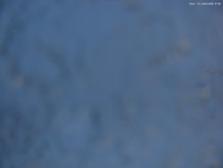 Svatý Petr, Pláně