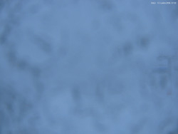 Svatý Petr, Pláně