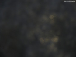 Svatý Petr, Pláně