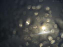 Svatý Petr, Pláně