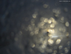 Svatý Petr, Pláně