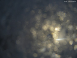 Svatý Petr, Pláně