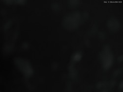 Svatý Petr, Pláně