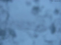 Svatý Petr, Pláně