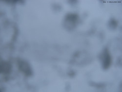 Svatý Petr, Pláně