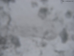 Svatý Petr, Pláně