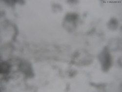 Svatý Petr, Pláně