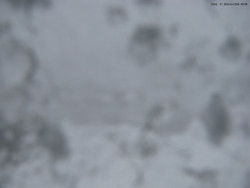 Svatý Petr, Pláně