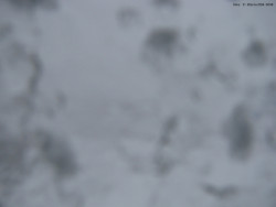 Svatý Petr, Pláně