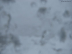 Svatý Petr, Pláně