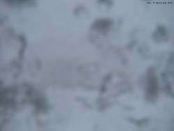 Svatý Petr, Pláně