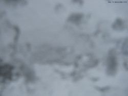 Svatý Petr, Pláně