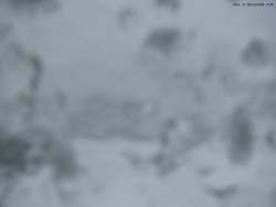 Svatý Petr, Pláně