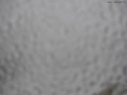 Svatý Petr, Pláně