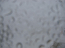 Svatý Petr, Pláně