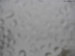 Svatý Petr, Pláně