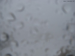 Svatý Petr, Pláně