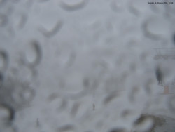 Svatý Petr, Pláně