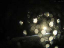 Svatý Petr, Pláně