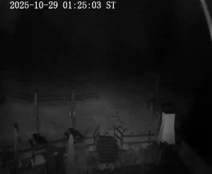 Skiareál Horní Podluží - Nástupní stanice vleků Horní Podluží - 29.10.2025 v 01:30 Skiareál Horní Podluží - Nástupní stanice vleků Horní Podluží - 29.10.2025 v 01:30