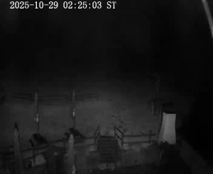 Skiareál Horní Podluží - Nástupní stanice vleků Horní Podluží - 29.10.2025 v 02:30 Skiareál Horní Podluží - Nástupní stanice vleků Horní Podluží - 29.10.2025 v 02:30