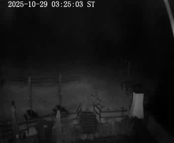 Snímek    29.10.2025 v 03:30