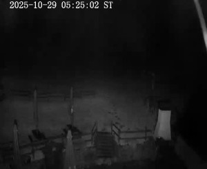 Skiareál Horní Podluží - Nástupní stanice vleků Horní Podluží - 29.10.2025 v 05:30 Skiareál Horní Podluží - Nástupní stanice vleků Horní Podluží - 29.10.2025 v 05:30