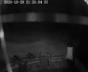 Skiareál Horní Podluží - Nástupní stanice vleků Horní Podluží - 29.10.2025 v 21:30 Skiareál Horní Podluží - Nástupní stanice vleků Horní Podluží - 29.10.2025 v 21:30