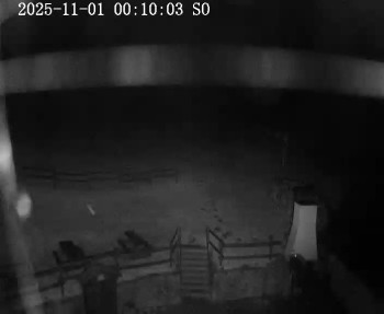 Snímek    1.11.2025 v 00:15