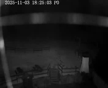 Snímek    3.11.2025 v 18:30