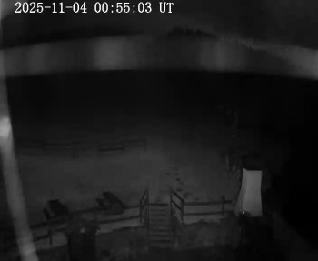 Snímek    4.11.2025 v 01:00