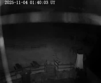 Snímek    4.11.2025 v 01:45