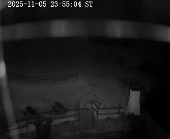 Snímek 6.11.2025 v 00:00