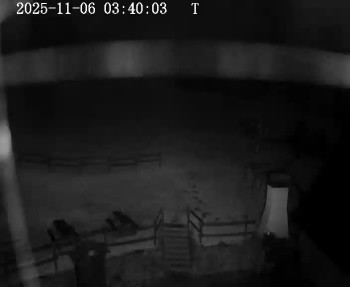 Snímek 6.11.2025 v 03:45