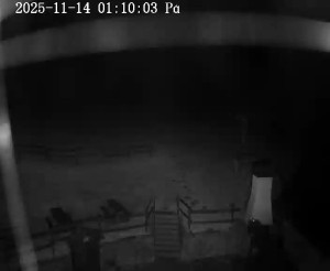 Skiareál Horní Podluží - Nástupní stanice vleků Horní Podluží - 14.11.2025 v 01:15 Skiareál Horní Podluží - Nástupní stanice vleků Horní Podluží - 14.11.2025 v 01:15