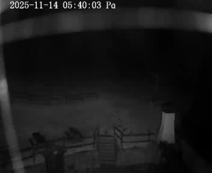 Skiareál Horní Podluží - Nástupní stanice vleků Horní Podluží - 14.11.2025 v 05:45 Skiareál Horní Podluží - Nástupní stanice vleků Horní Podluží - 14.11.2025 v 05:45