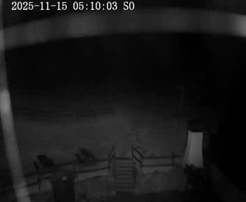 Snímek 15.11.2025 v 05:15