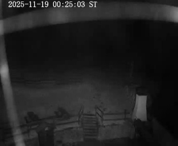 Snímek 19.11.2025 v 00:30