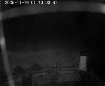 Snímek 19.11.2025 v 01:45