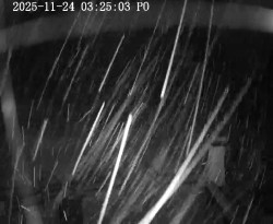 Nástupní stanice vleků Horní Podluží