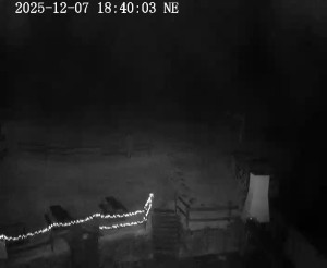 Skiareál Horní Podluží - Nástupní stanice vleků Horní Podluží - 7.12.2025 v 18:45 Skiareál Horní Podluží - Nástupní stanice vleků Horní Podluží - 7.12.2025 v 18:45