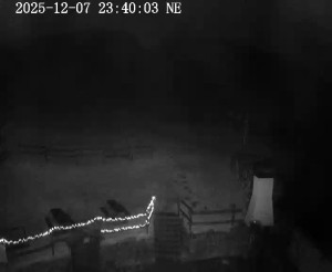 Skiareál Horní Podluží - Nástupní stanice vleků Horní Podluží - 7.12.2025 v 23:45 Skiareál Horní Podluží - Nástupní stanice vleků Horní Podluží - 7.12.2025 v 23:45