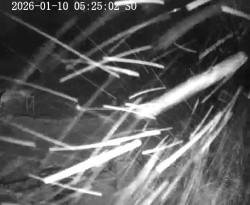 Nástupní stanice vleků Horní Podluží