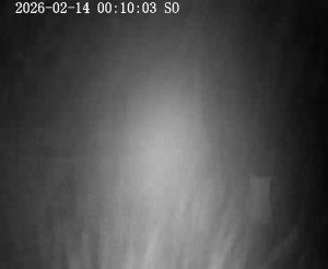 Skiareál Horní Podluží - Nástupní stanice vleků Horní Podluží - 14.2.2026 v 00:15 Skiareál Horní Podluží - Nástupní stanice vleků Horní Podluží - 14.2.2026 v 00:15