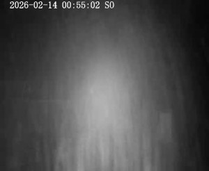 Skiareál Horní Podluží - Nástupní stanice vleků Horní Podluží - 14.2.2026 v 01:00 Skiareál Horní Podluží - Nástupní stanice vleků Horní Podluží - 14.2.2026 v 01:00