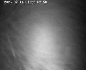 Skiareál Horní Podluží - Nástupní stanice vleků Horní Podluží - 14.2.2026 v 02:00 Skiareál Horní Podluží - Nástupní stanice vleků Horní Podluží - 14.2.2026 v 02:00