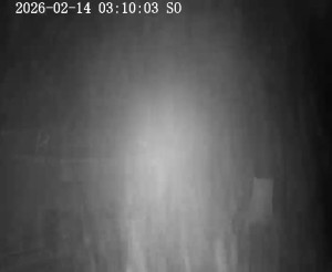 Skiareál Horní Podluží - Nástupní stanice vleků Horní Podluží - 14.2.2026 v 03:15 Skiareál Horní Podluží - Nástupní stanice vleků Horní Podluží - 14.2.2026 v 03:15