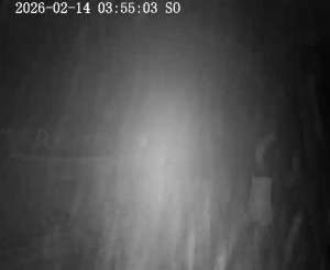 Skiareál Horní Podluží - Nástupní stanice vleků Horní Podluží - 14.2.2026 v 04:00 Skiareál Horní Podluží - Nástupní stanice vleků Horní Podluží - 14.2.2026 v 04:00