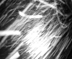 Nástupní stanice vleků Horní Podluží